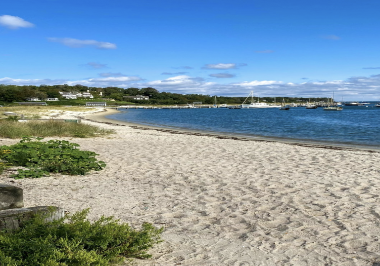 The Legacy of Martha’s Vineyard Sign Language - Learn Sign Language